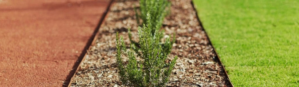 Neatly maintained lawn edge separated by Rigidline™ in-ground steel edging, providing a clean divide between grass and garden bed.