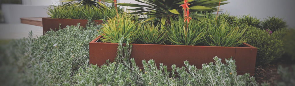 Straightcurve Planter Boxes