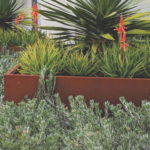 Straightcurve Planter Boxes