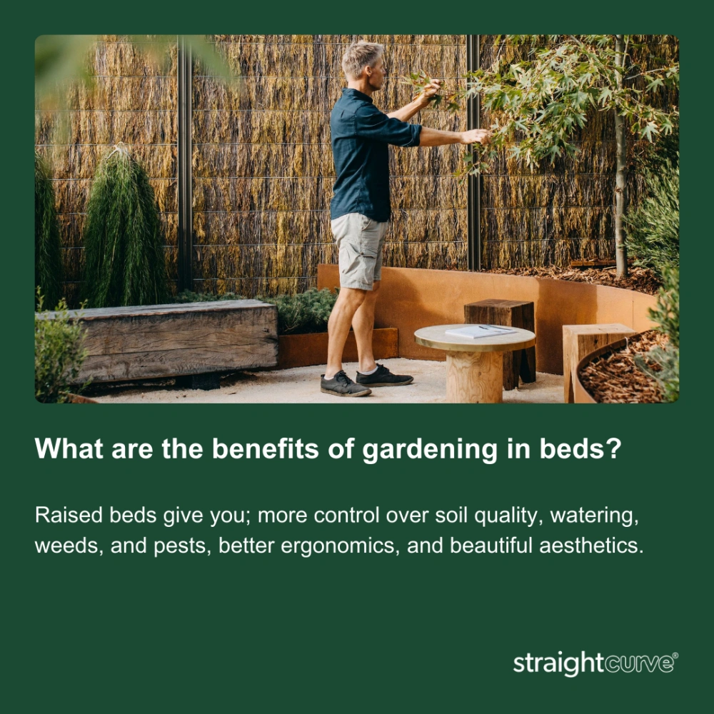 What are the benefits of gardening in raised beds?