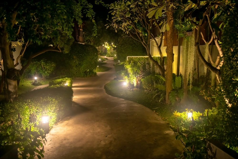 Highlight Pathways with Solar-Powered or Low-Energy Lighting