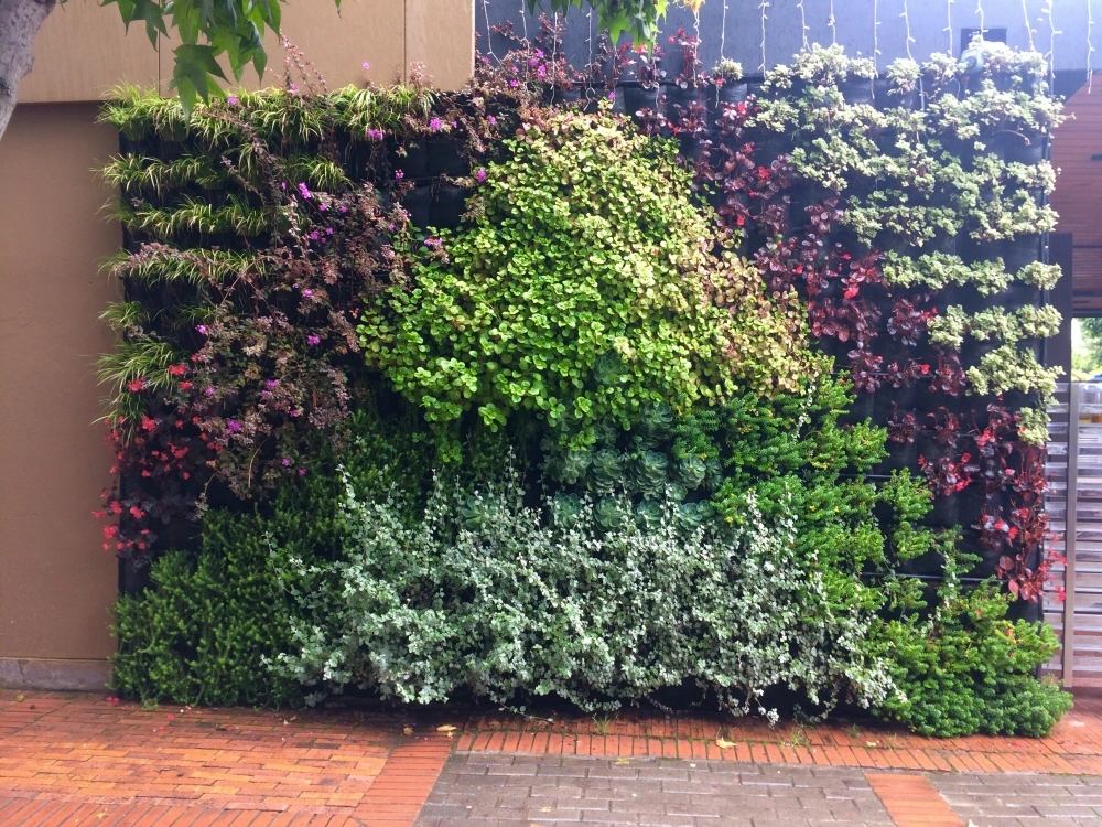 Modern Australian Front Yard Idea - Install Vertical Gardens to Maximise Space