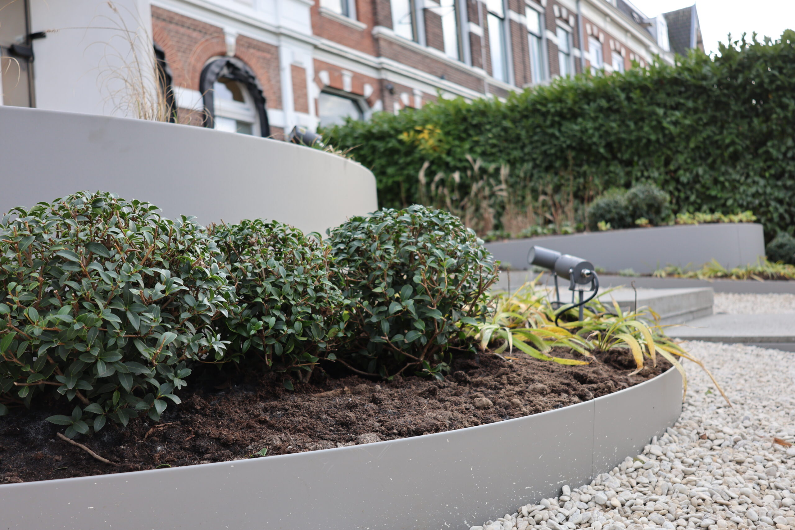 Straightcurve colorline