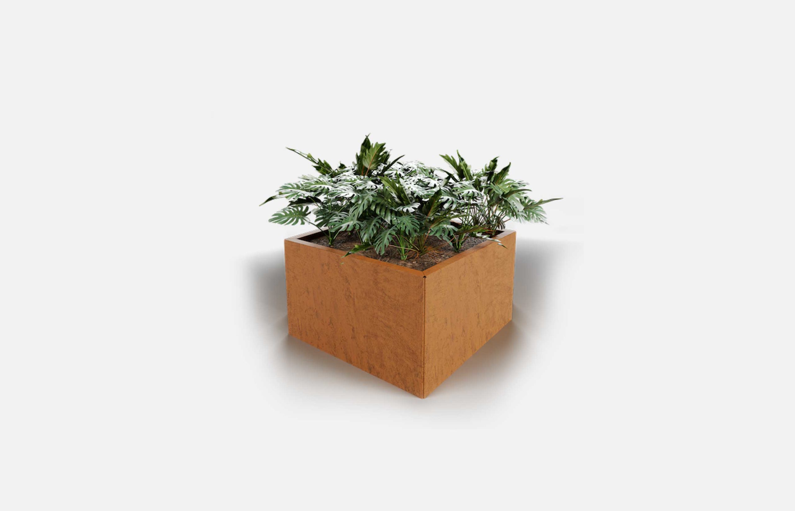 Square Planter Box (Medium)