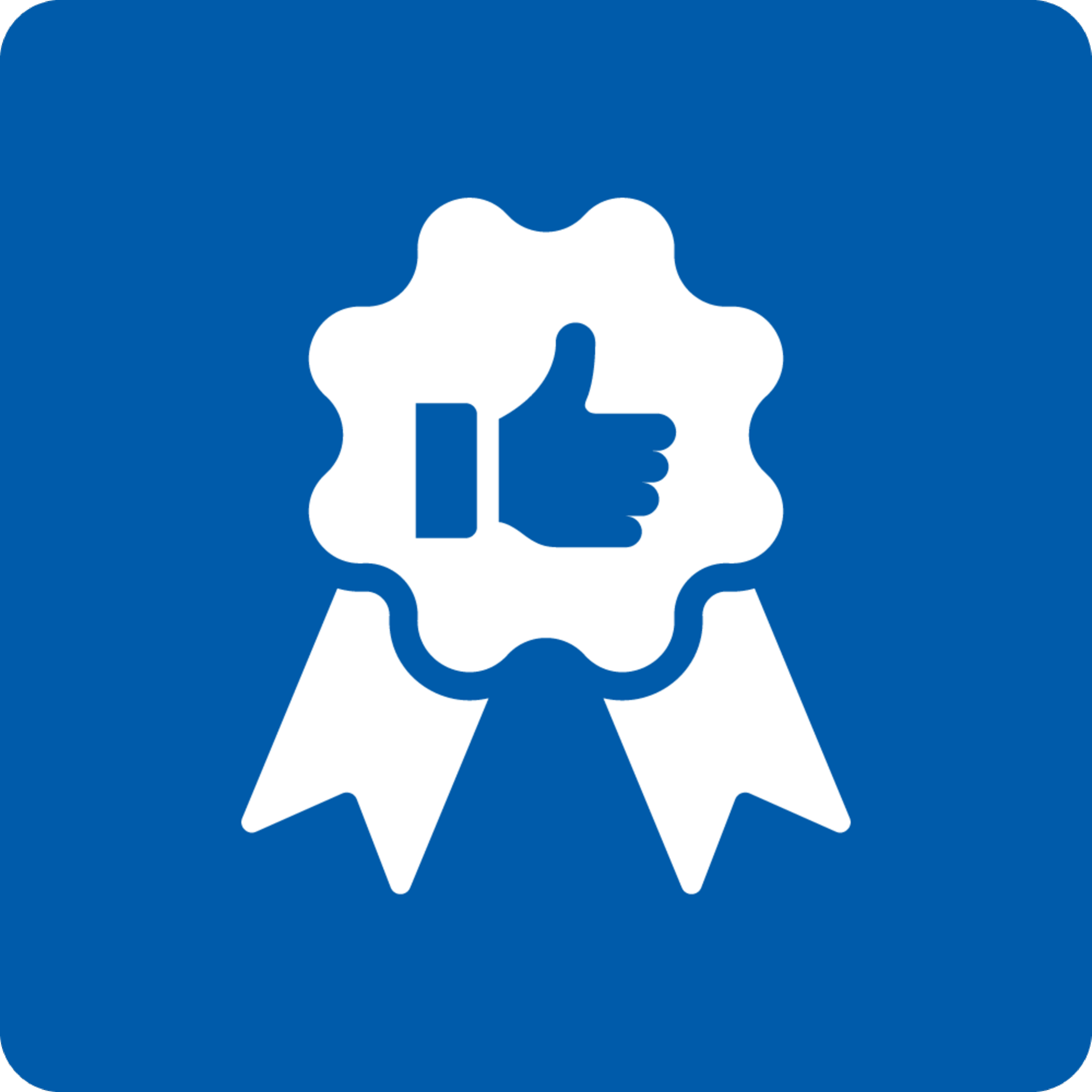 Excellent Service Icon