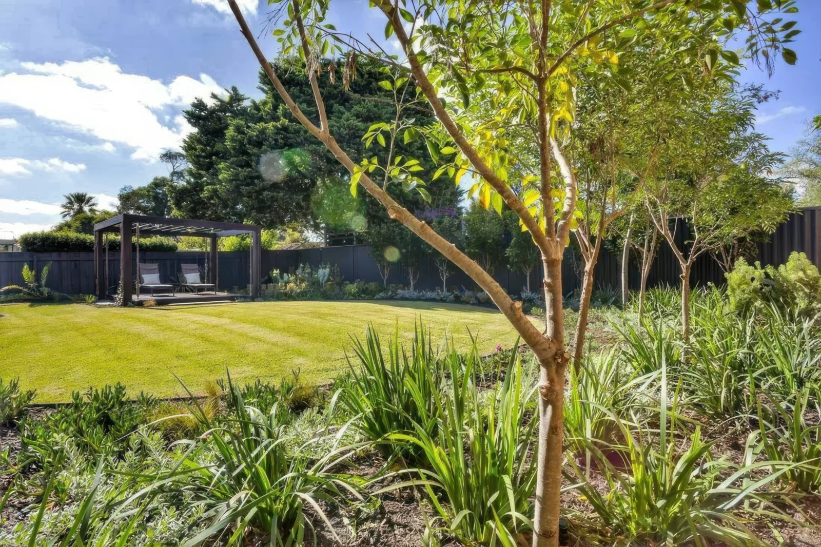 033_Tim-Davies-Landscaping_20190808_1_Upscaled
