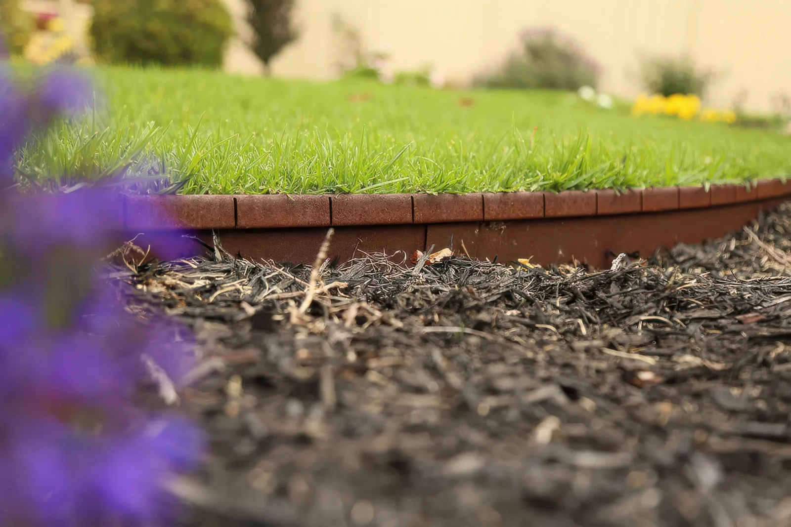 040_The-Gourmet-Landscaper_20190808_2_Upscaled