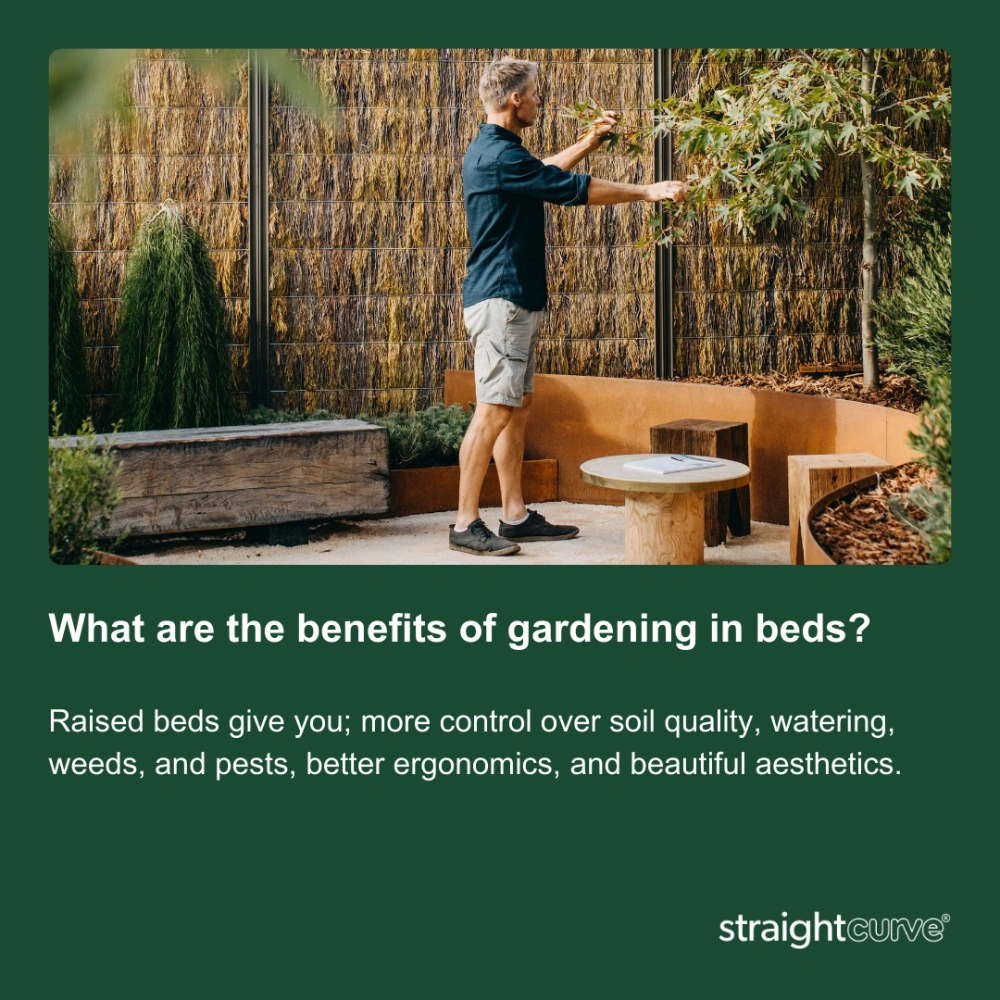 The benefits of gardening in raised beds, better drainage, easier access, warmer soil and more control over growing conditions