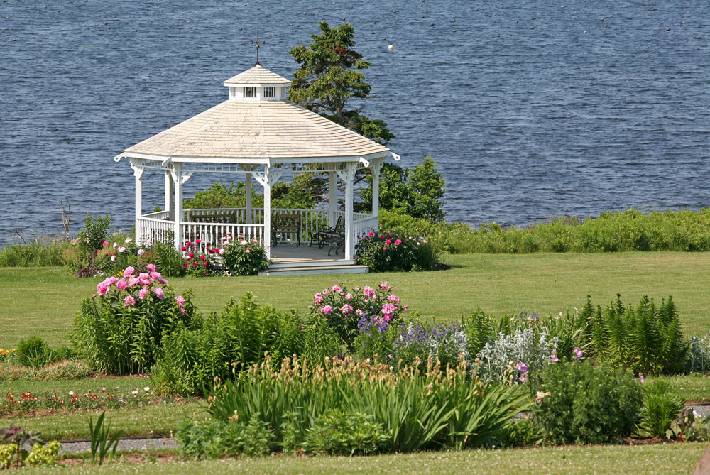 Coastal garden with peonies, one of the more demanding environments for steel garden edging, requiring the right alloy choice