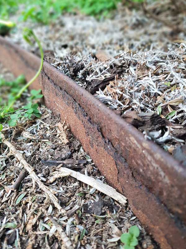 Close-up of corten steel garden edging showing stable patina at the top and flaking rust where the previously buried section has become exposed