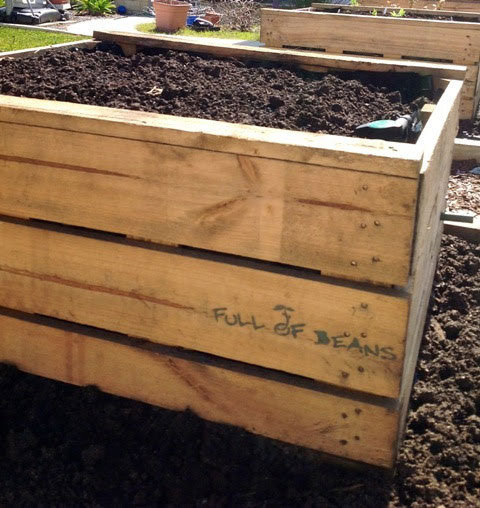 A wooden crate repurposed as a DIY wicking garden bed with liner visible inside