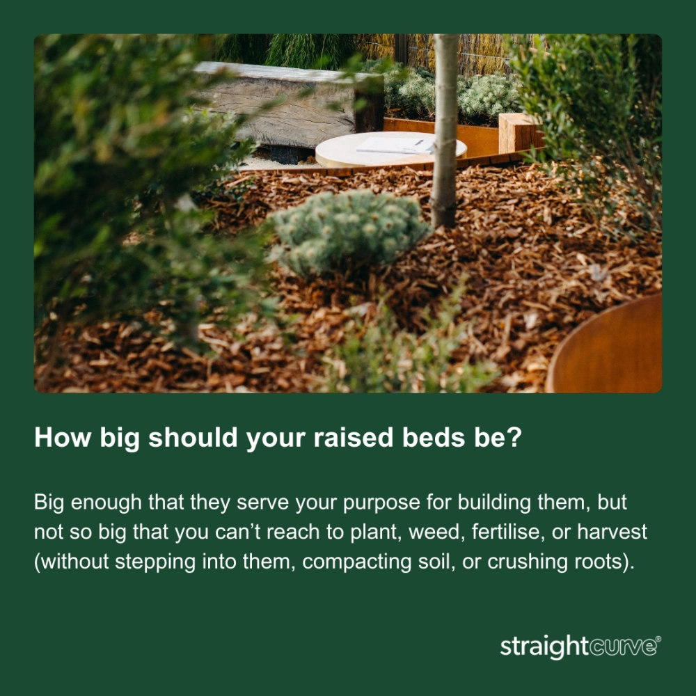 How big should raised garden beds be, 1.2m wide is the standard maximum to allow comfortable reach from both sides without stepping in