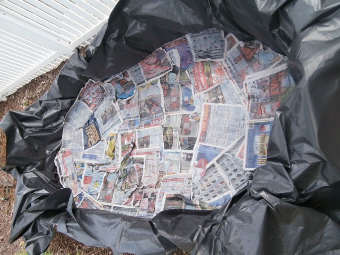 Newspaper used as a liner layer in a DIY wicking bed to separate the soil from the water reservoir
