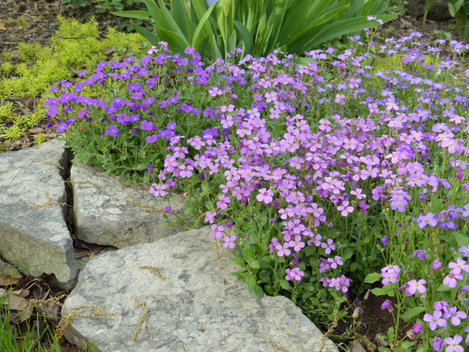 Rock garden edging creating a natural border, stone used to define planting areas organically