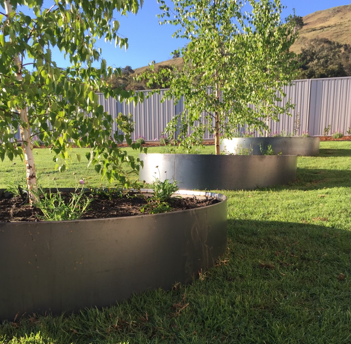 Steel garden edging by Edmonson Landscapes, once installed correctly these borders stay crisp for years without attention