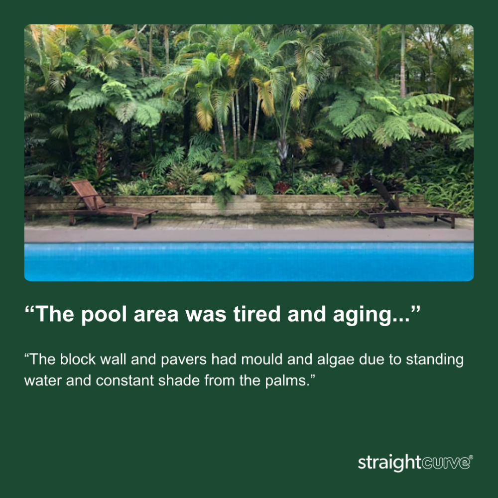 The pool area before renovation, bare and uninviting, with no defined planting zones or landscaping structure