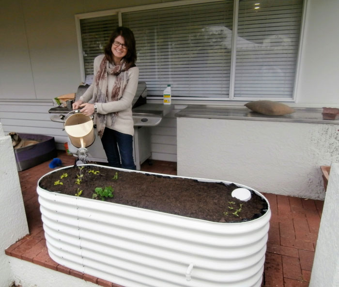 Filling the reservoir of a self-wicking raised garden bed, top-up watering via the side inlet