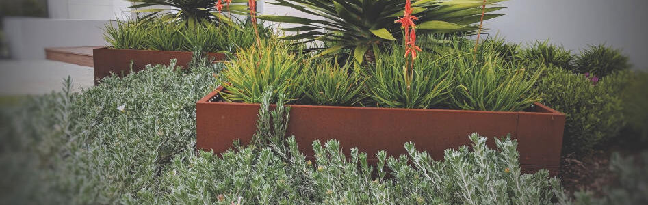 Straightcurve Planter Boxes
