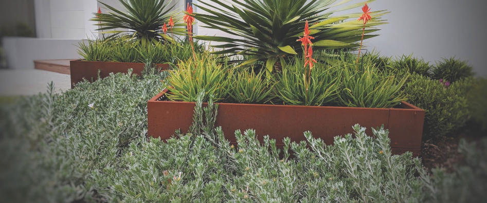 Straightcurve Planter Boxes