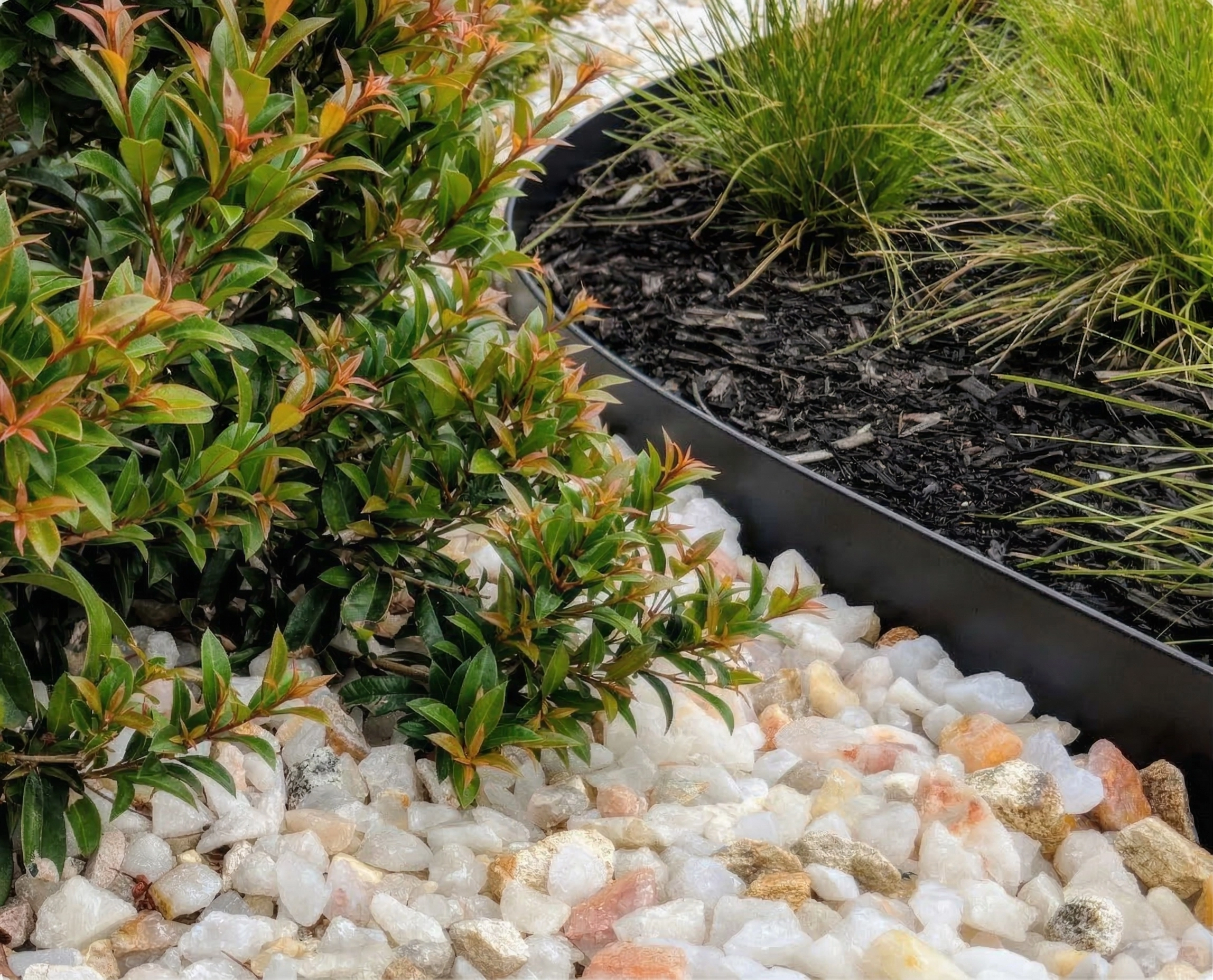 Powder Coat Range_Black_06